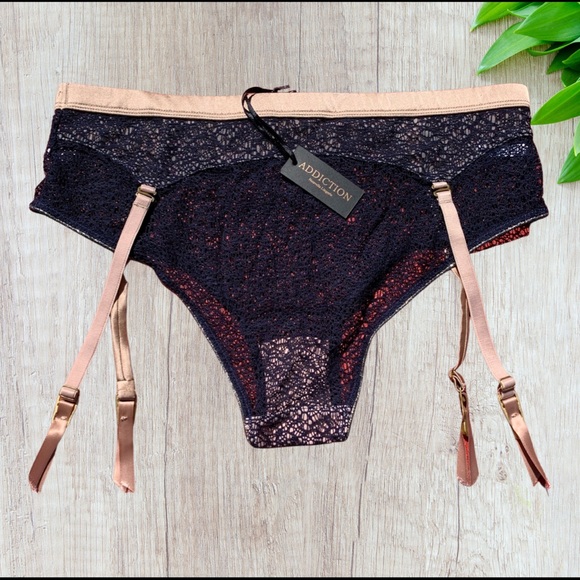 NWT Small ADDICTION sexy, sheer lace garter panty. - Picture 2 of 5
